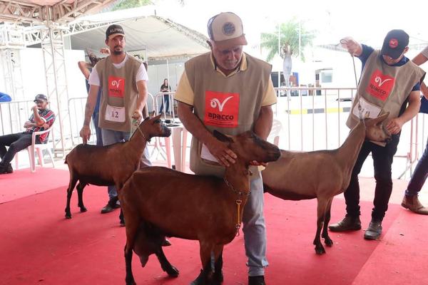 Expofeira deve atrair 50 mil pessoas