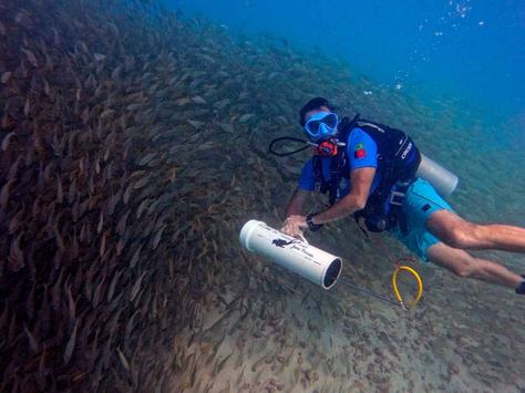 busca-ativa-do-peixe-leao-credito-clube-do-mergulho-4.jpg