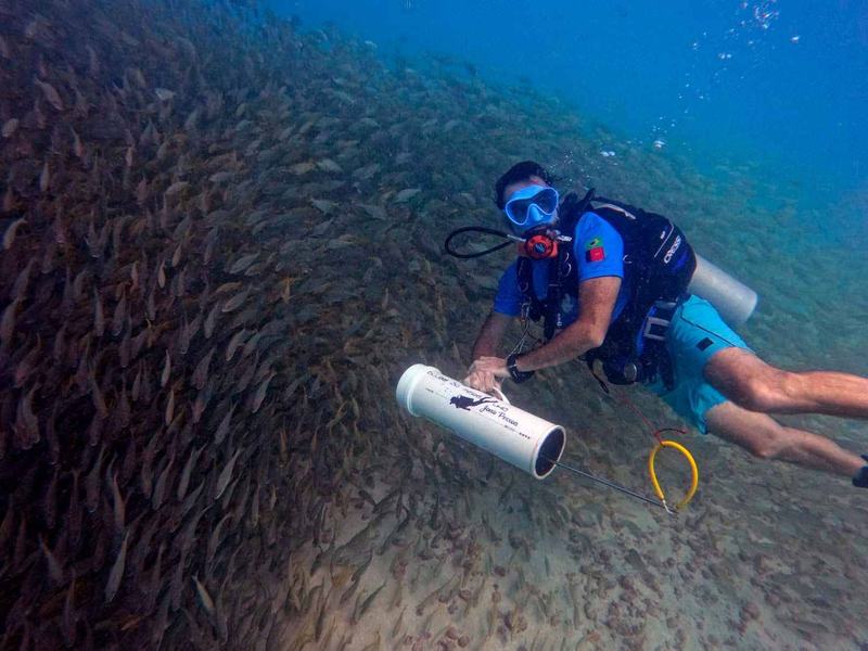 busca-ativa-do-peixe-leao-credito-clube-do-mergulho-4.jpg