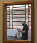 cachorro.jpg