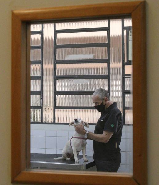 cachorro.jpg