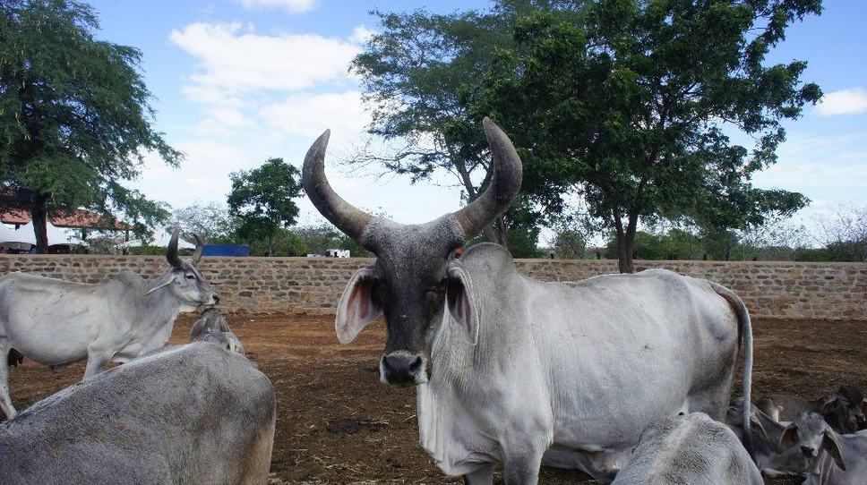 campina-grande-foto-teresa-duarte.jpg