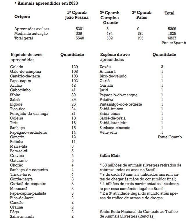 Imagem: Jornal A União