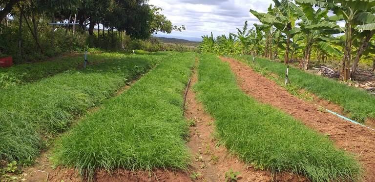 PB Rural Sustentável: Comunidade encaminha demandas e idealiza projetos