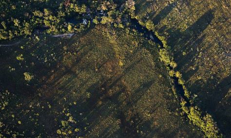 cerrado-chapada-dos-veadeiros.jpg