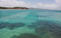 corais-litoral-paraibano-foto-secom-pb.jpg