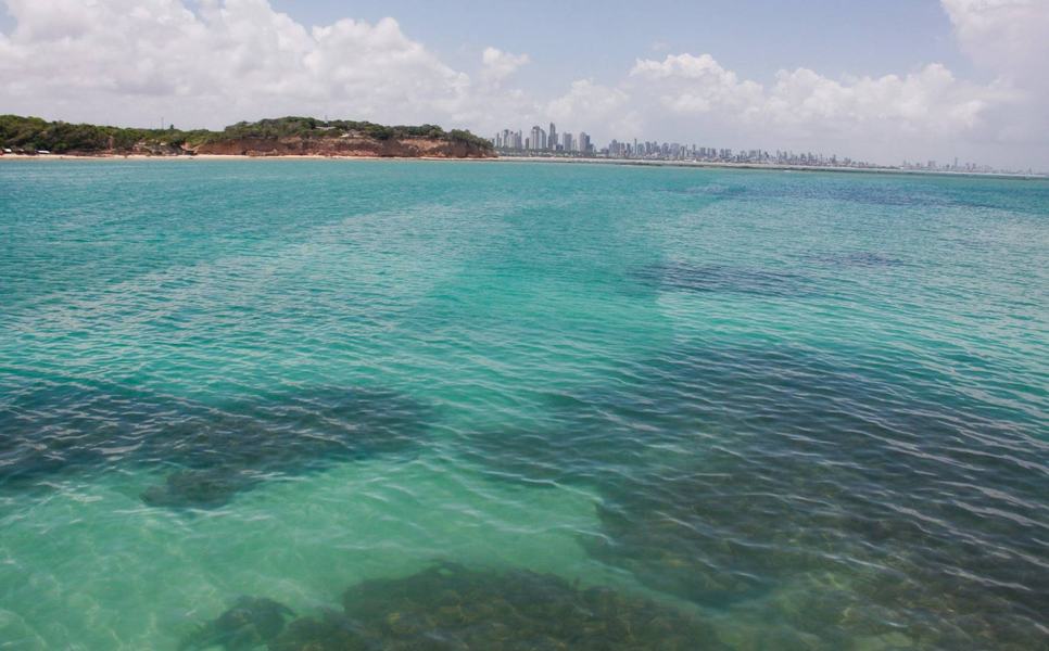 corais-litoral-paraibano-foto-secom-pb.jpg