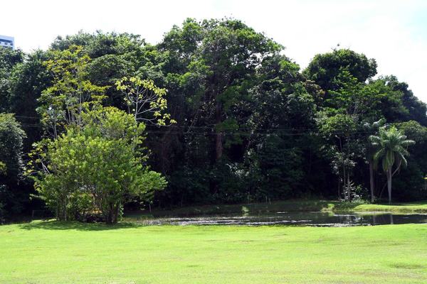 Ações promovem educação ambiental