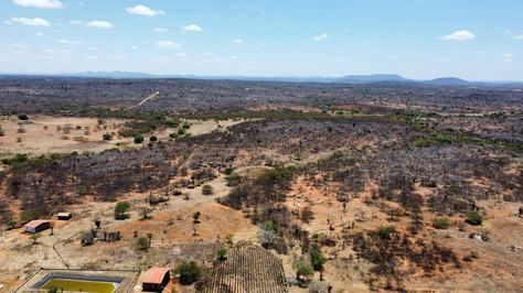 dji_fly_20241113_103612_691_1731536953152_photo_optimized.jpg