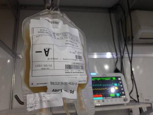 Paraíba já recebeu 113 doações de plasma convalescente para tratamento da Covid-19