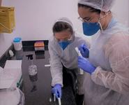 epidemiologico-covid-1.jpeg