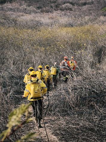 equipes-atuando-no-combate-ao-incendio-assessoria-semas-rossini-dantas-3.jpg