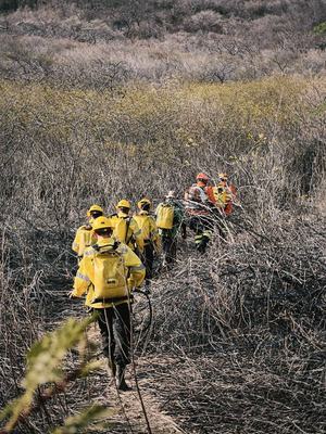 Órgãos apuram hipótese de incêndio criminoso