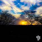 fazenda-tanques-instagram-8.jpg