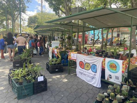 feira-agroecologica-valdivia-costa.jpg