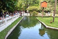 ferias-na-bica-f-roberto-guedes2.jpg