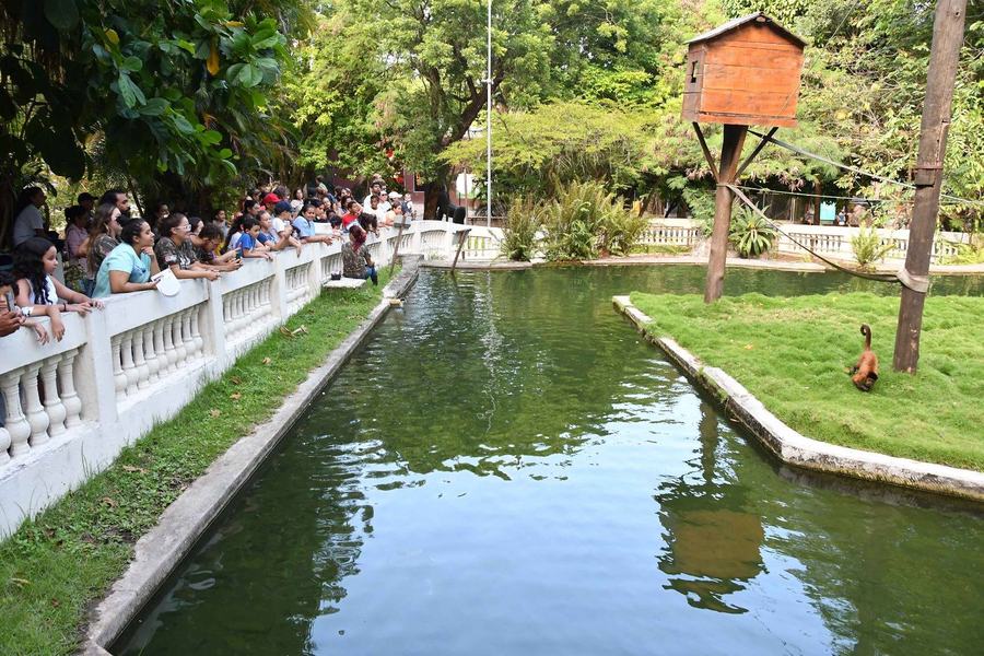 ferias-na-bica-f-roberto-guedes2.jpg