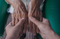 fg288561-foto-divulgacao-alesp.jpg
