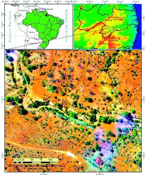 figura-area-desertificada-caraubas-foto-cedida-por-bartolomeu-israeljpg.jpg