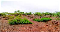 foto-cedida-por-bartolomeu-israel-retrata-fenomeno-da-desertificacao.jpeg