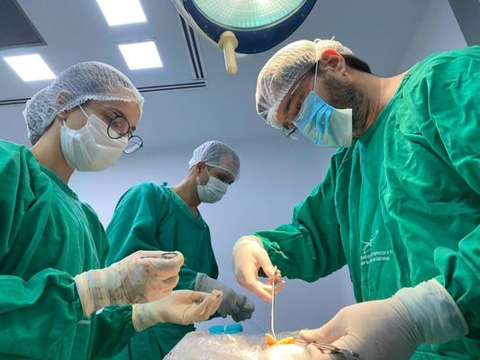 PB garante segurança no processo