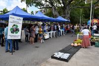 foto-principal-banquetaco_na_lagoa-foto-edson_matos-3.jpg
