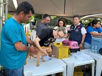 fotos-acoes-da-gerencia-da-causa-animal-credito-arquivo-da-gerencia-4-_1.jpeg