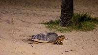 fotos_elton-dantas-2-jpg.jpeg