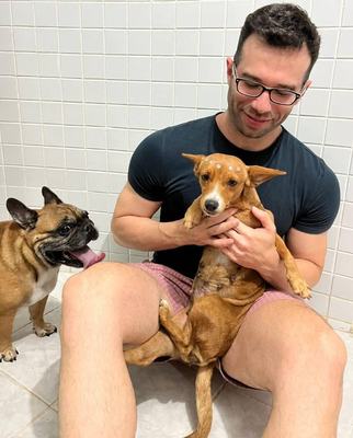 Cresce mercado de planos de saúde para pets na PB