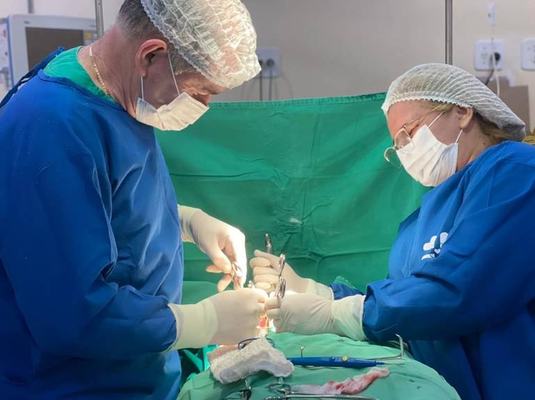 Hospital Regional de Queimadas realizou mais de 19 mil atendimentos em nove meses