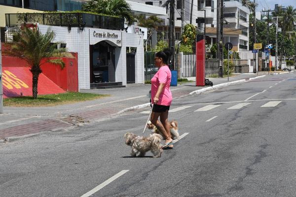 Doenças que afetam pets e humanos
