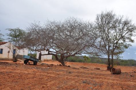 m-sobre-efeito-da-seca-no-cariri-oa-59.jpg