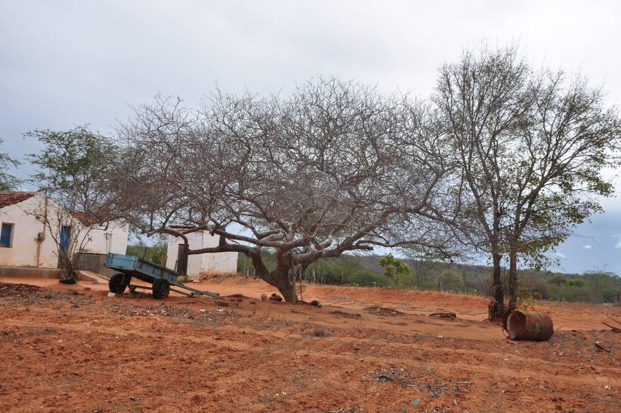 m-sobre-efeito-da-seca-no-cariri-oa-59.jpg