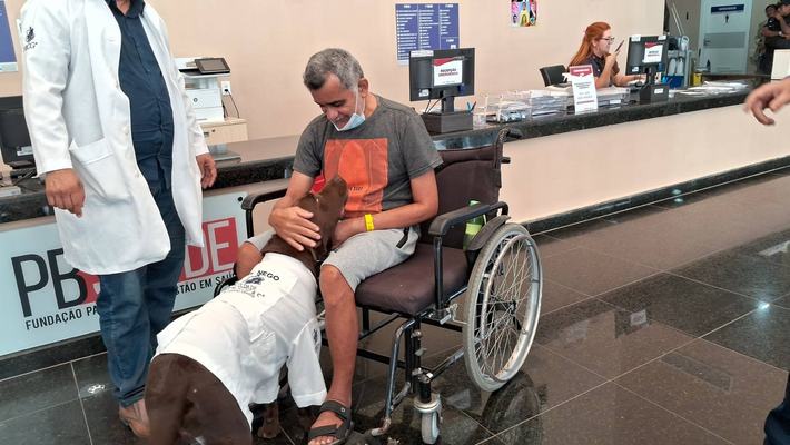 Hospital oferece terapia assistida por animais