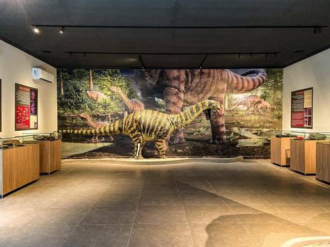 museu-c-divulgacao_sudema-2.jpg