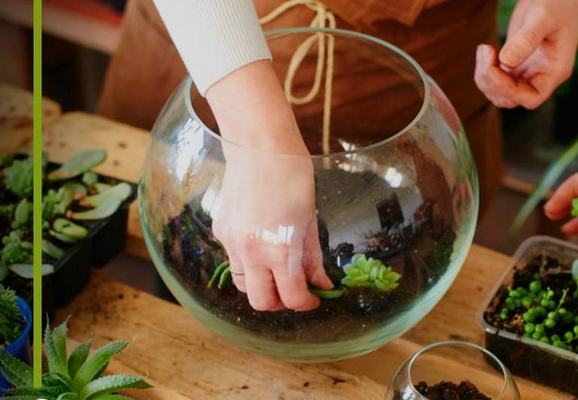 Agosto das Juventudes: Sudema realiza oficina de minijardim no Jardim Botânico