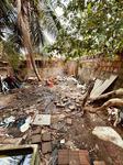 pit-bull.jpg