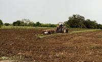 plantio-no-sertao-foto-coordecom-patos.jpg