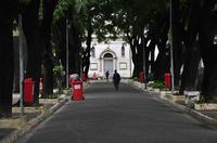 principal-lmpeza-nos-cemiterios_fotos-evandro-13.jpg