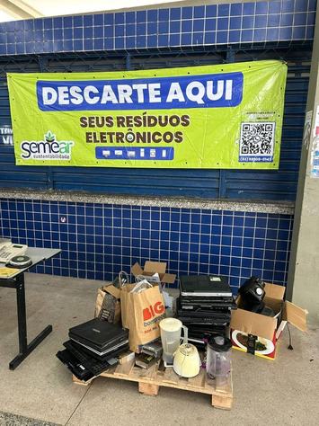 projeto-tree-arquivo-pessoal-ademar-netto-4.jpeg