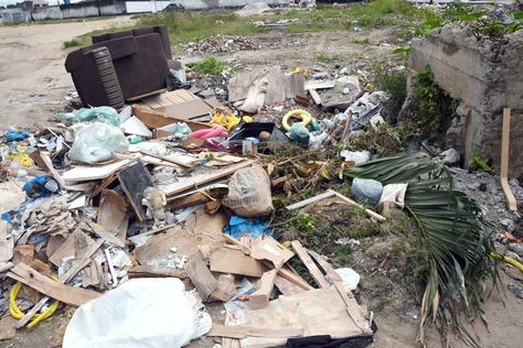 reducao-de-casos-de-dengue_f-evandro-6.jpg