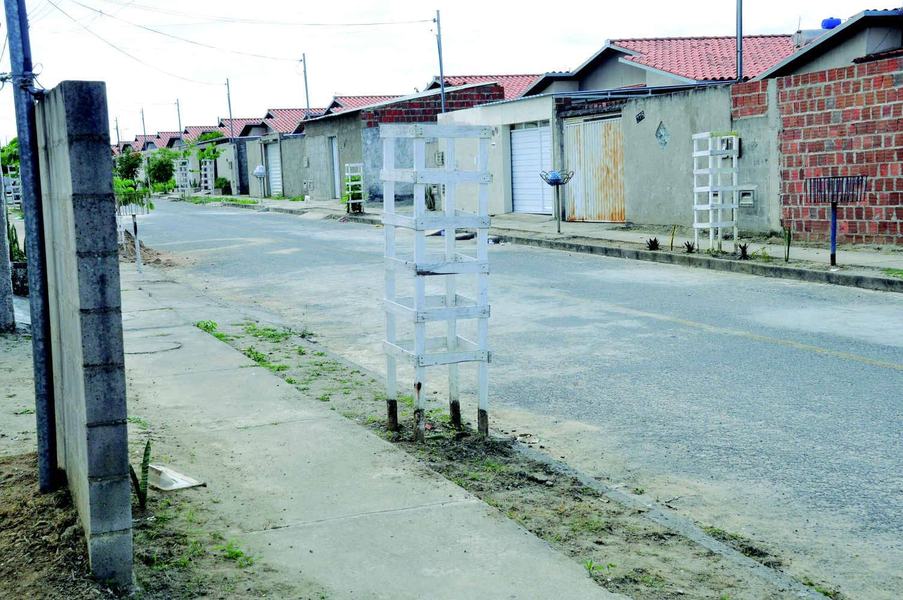 replantio_complexo_aluizio_campus_cg_fabiana_veloso-7.jpg