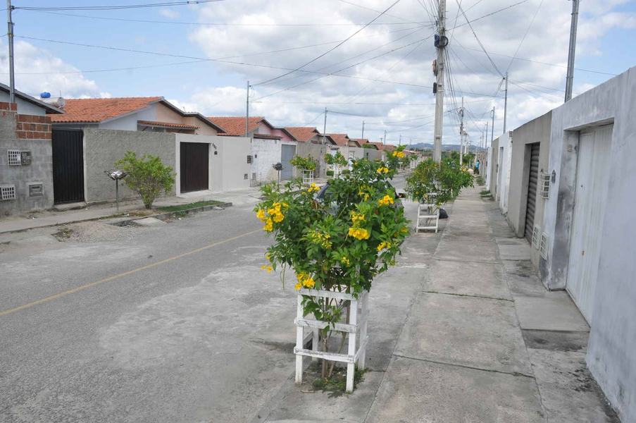 replantio_complexo_aluizio_campus_cg_fabiana_veloso-1.jpg