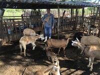 rrenato-da-silva-e-sua-criacao-de-animais-arquivo-pessoal.jpg