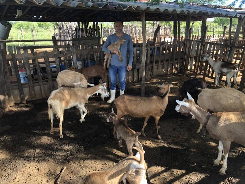 rrenato-da-silva-e-sua-criacao-de-animais-arquivo-pessoal.jpg
