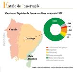 sem-titulo.jpg