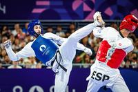 taekwondo-c-wander-roberto_cob.jpg