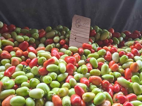 tomates-barbara-wanderley-2.jpeg